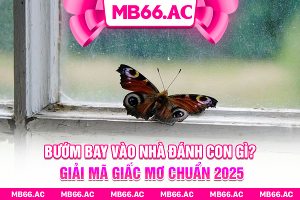 Bướm Bay Vào Nhà Đánh Con Gì? Giải Mã Giấc Mơ Chuẩn 2025