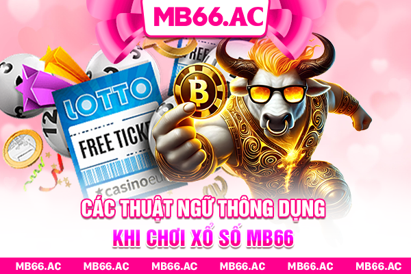Các thuật ngữ thông dụng khi chơi xổ số MB66