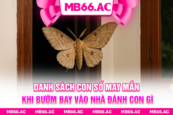 Danh sách con số may mắn khi bướm bay vào nhà đánh con gì