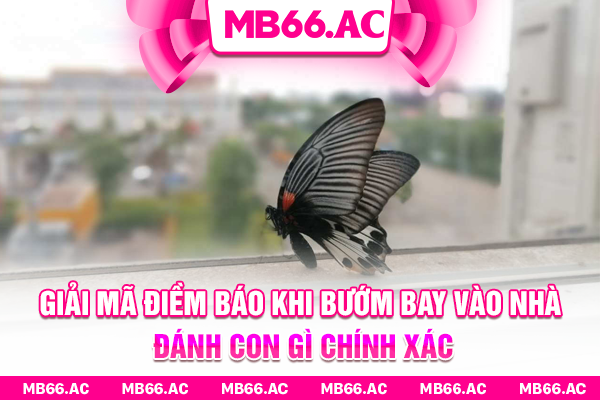 Giải mã điềm báo khi bướm bay vào nhà đánh con gì chính xác