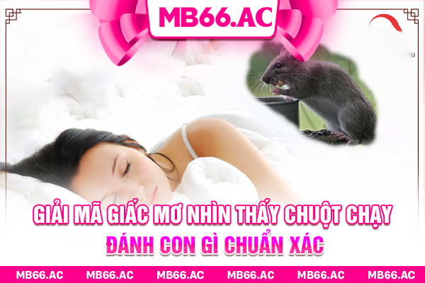Giải mã giấc mơ nhìn thấy chuột chạy đánh con gì chuẩn xác