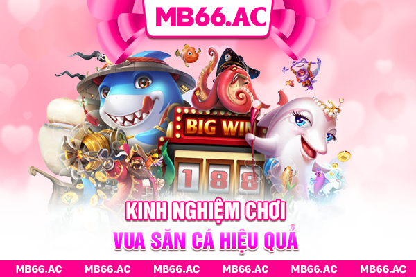 Kinh nghiệm chơi Vua săn cá hiệu quả