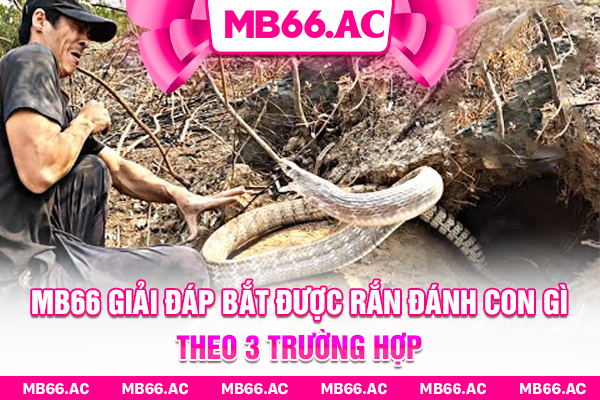 MB66 giải đáp bắt được rắn đánh con gì theo 3 trường hợp