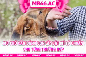 Mơ Chó Cắn Đánh Con Gì? Bật Mí Lô Chuẩn Cho Từng Trường Hợp