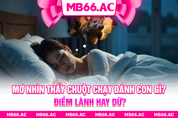 Mơ Nhìn Thấy Chuột Chạy Đánh Con Gì? Điềm Lành Hay Dữ?
