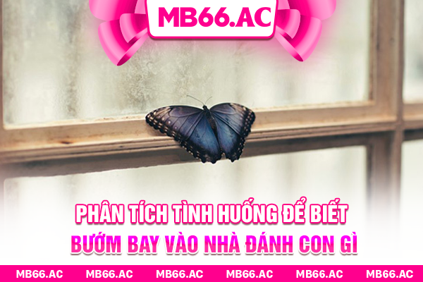 Phân tích tình huống để biết bướm bay vào nhà đánh con gì