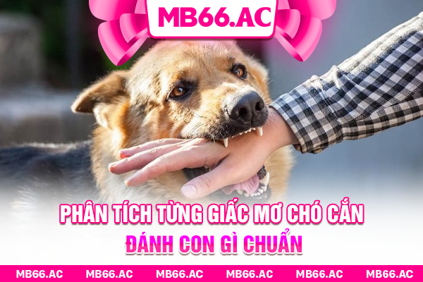 Phân tích từng giấc mơ chó cắn đánh con gì chuẩn