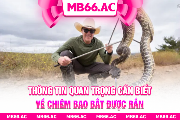 Thông tin quan trọng cần biết về chiêm bao bắt được rắn