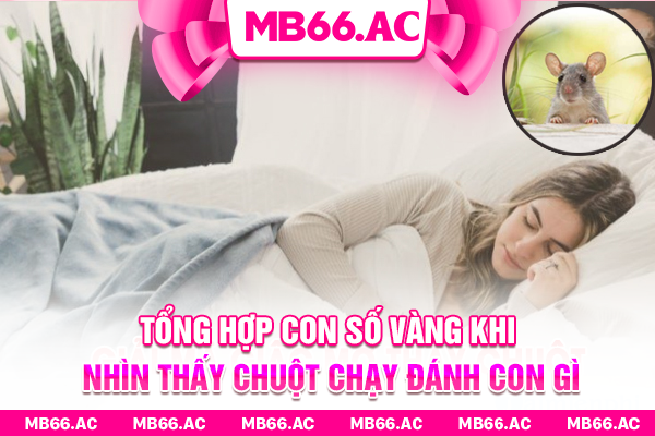 Tổng hợp con số vàng khi nhìn thấy chuột chạy đánh con gì